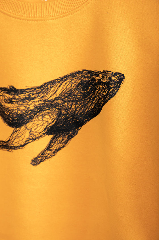Sudadera niño Ballelinea