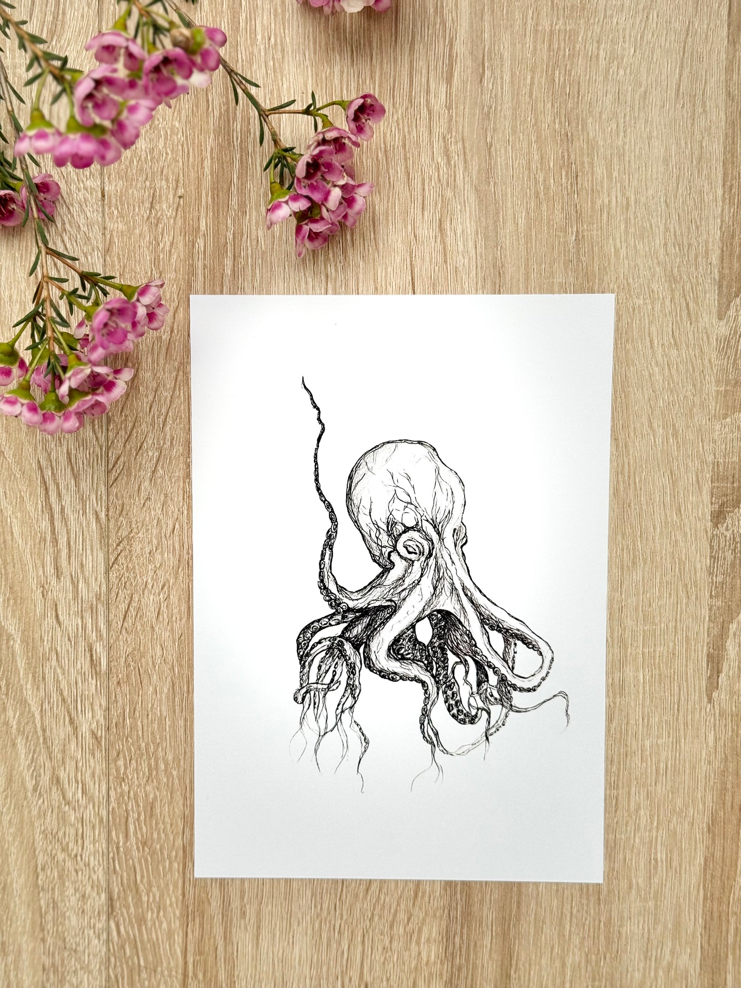 lamina pulpo sin marco