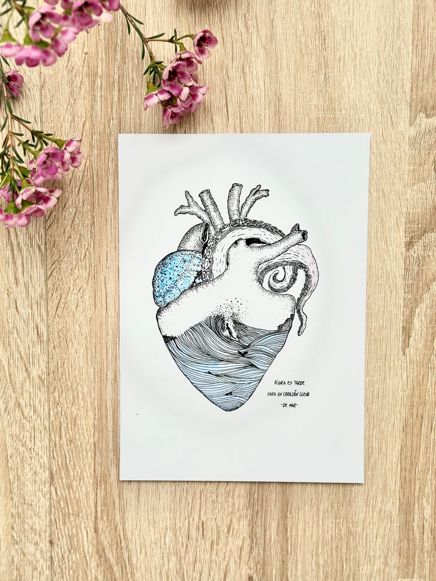 Láminas corazón del mar